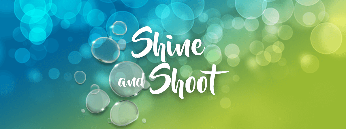 Shine and Shoot 2022